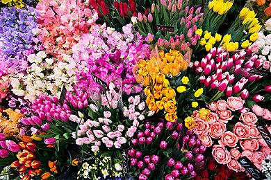 微软称索尼给开发商付钱 阻止游戏登陆XGP