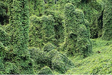 传《街头霸王6》将在下周一正式公布